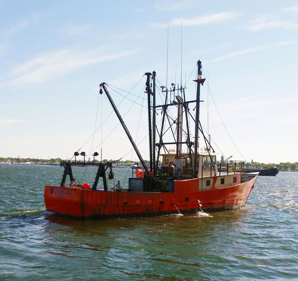 fv-ocean-scout-06.jpg