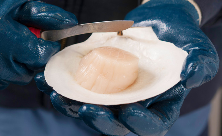 Quality Assurance | Fleet Fisheries Inc.