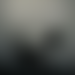 Che tipo di Strega sei?