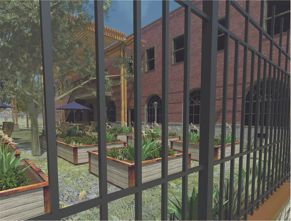 garden_through_fence.jpg