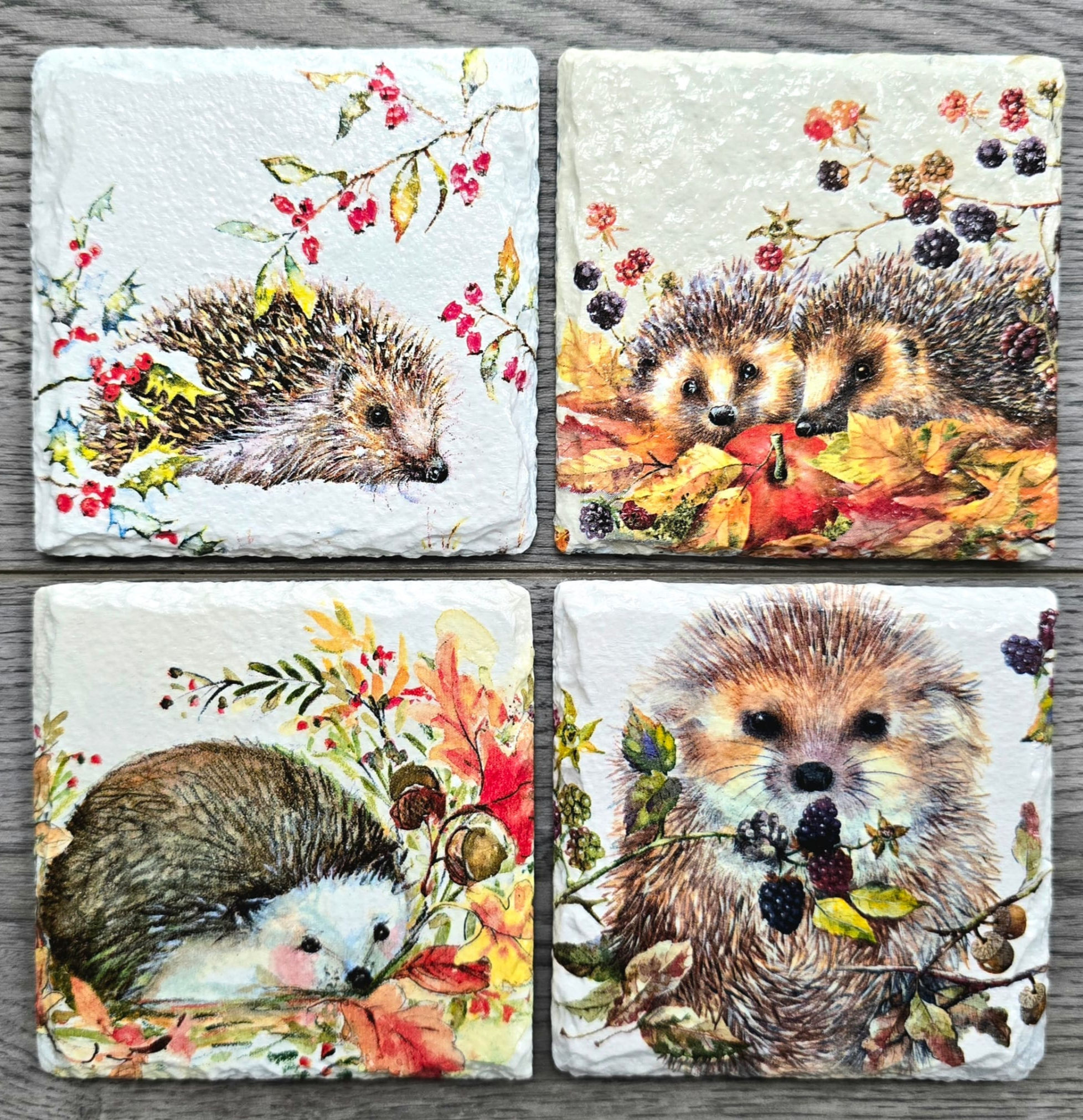 Hedgehog Slate Coaster Set – 4 Unique Woodland Designs