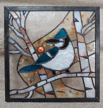 Blue Jay & Birches