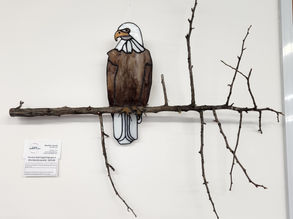 Bald Eagle