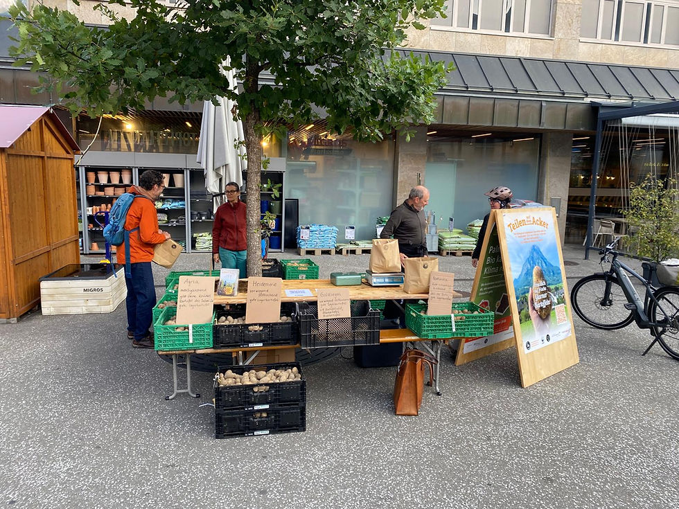 Glarner Kartoffeln werden vor der Migros in Glarus verkauft.