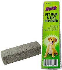 Hi-Tech Pet Rock