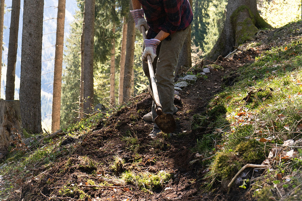 Wenn Berge rutschen – Freiwilligeneinsatz auf der Alp Hofalpli