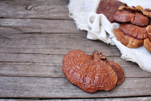 how-to-grow-reishi-mushooms-004.jpeg