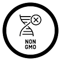 PNG image-8FFD909D3668-1.png
