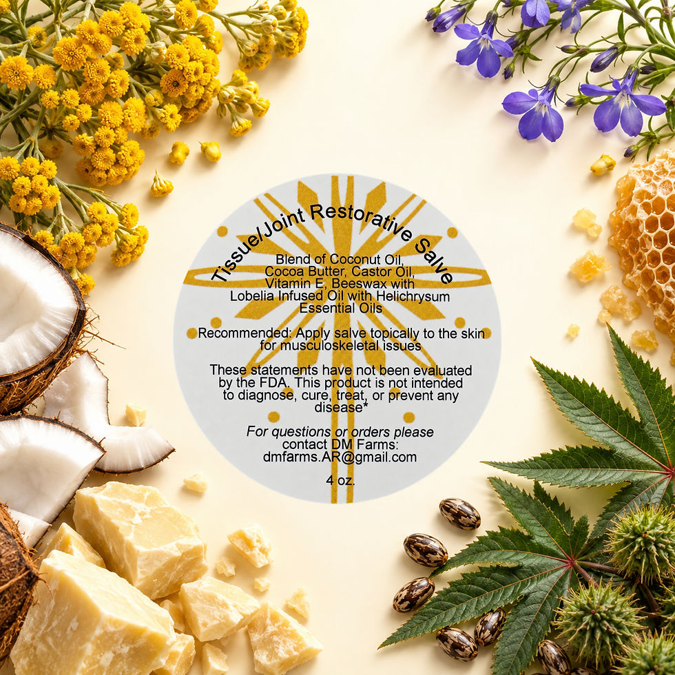 Thumbnail: Organic Herbal Tissue/Joint Repair Salve