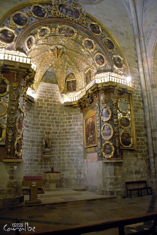 Morella-Tomas (93)-001
