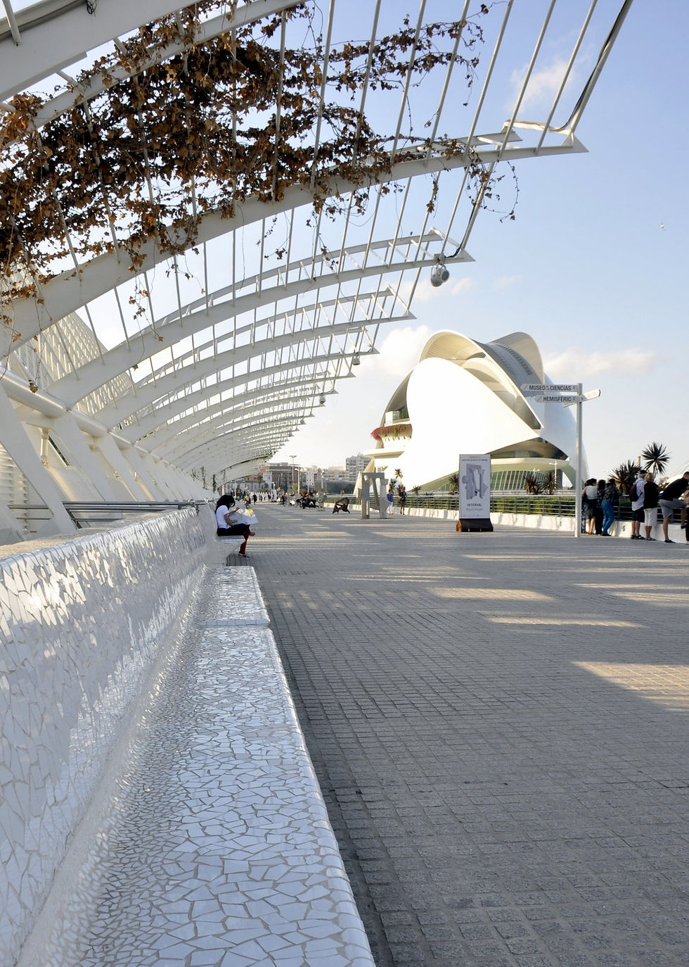 Ciudad Artes y Ciencia, Valencia (18)