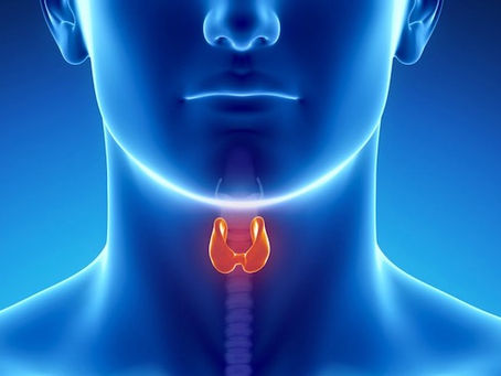 Θυρεοειδής αδένας και ανδρική υπογονιμότητα