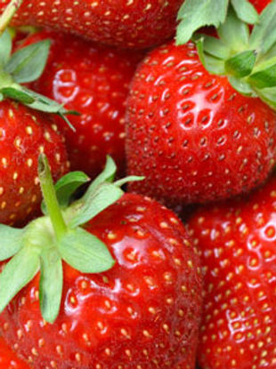 fraise magnum.jpg