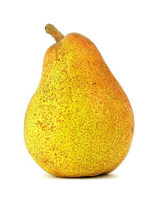 poire guyot.jpg