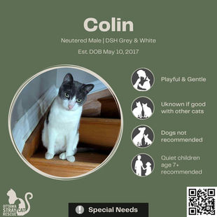 Colin