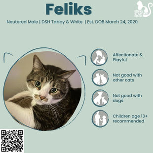 Feliks