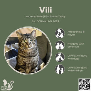 Vili