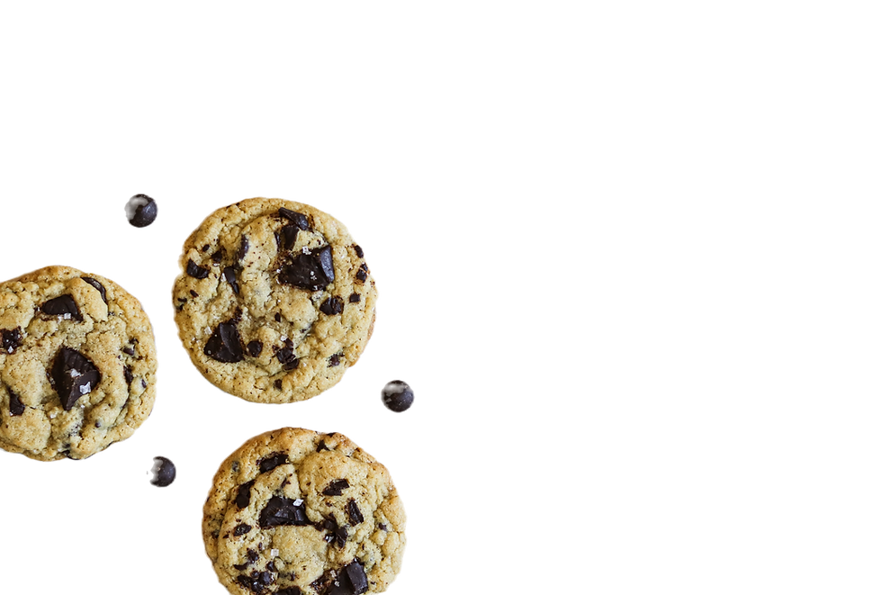 Evjoy Hero_edited.png