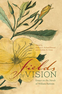 Fields of vision.jpg