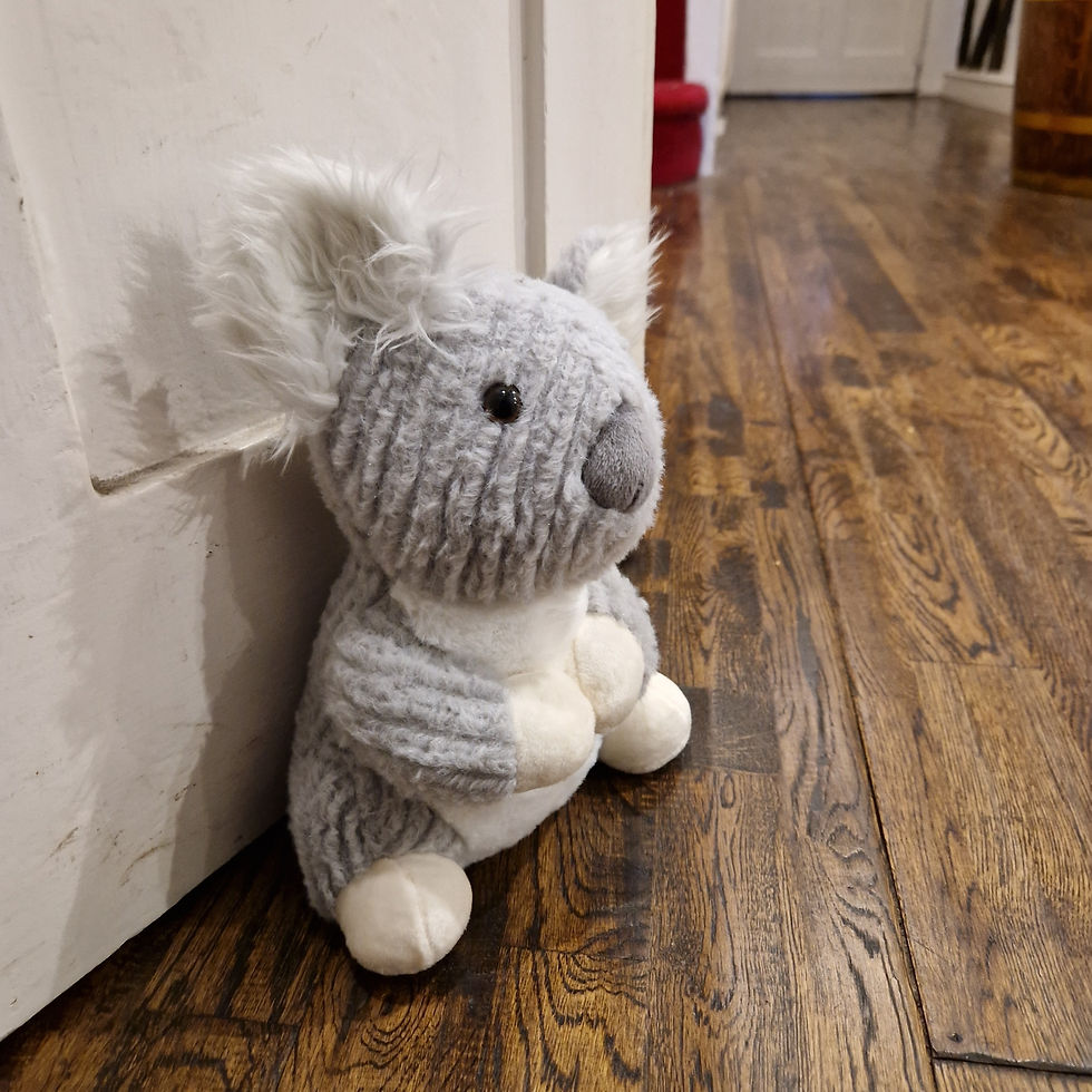 Thumbnail: Kiki Koala Doorstop