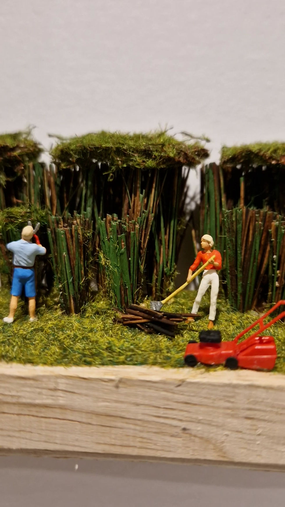 Thumbnail: Clearing the Scrub