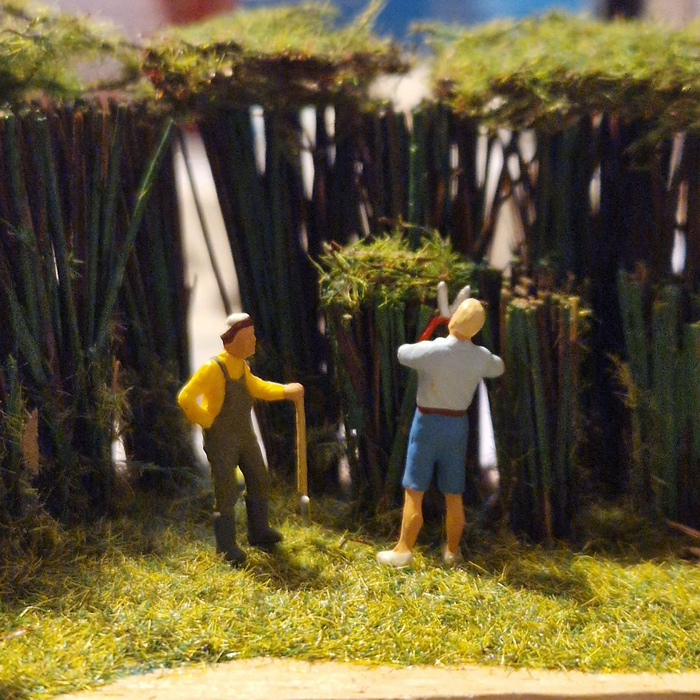 Thumbnail: Clearing the Scrub