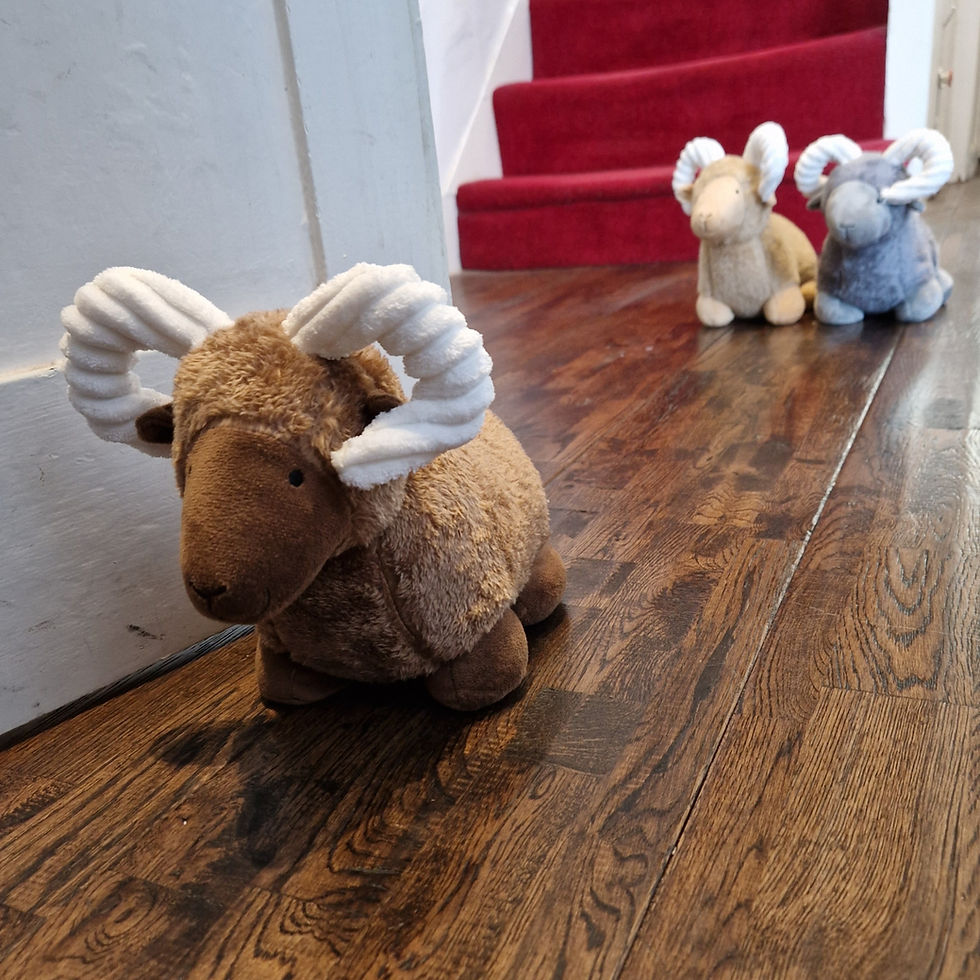 Thumbnail: Ram Doorstop