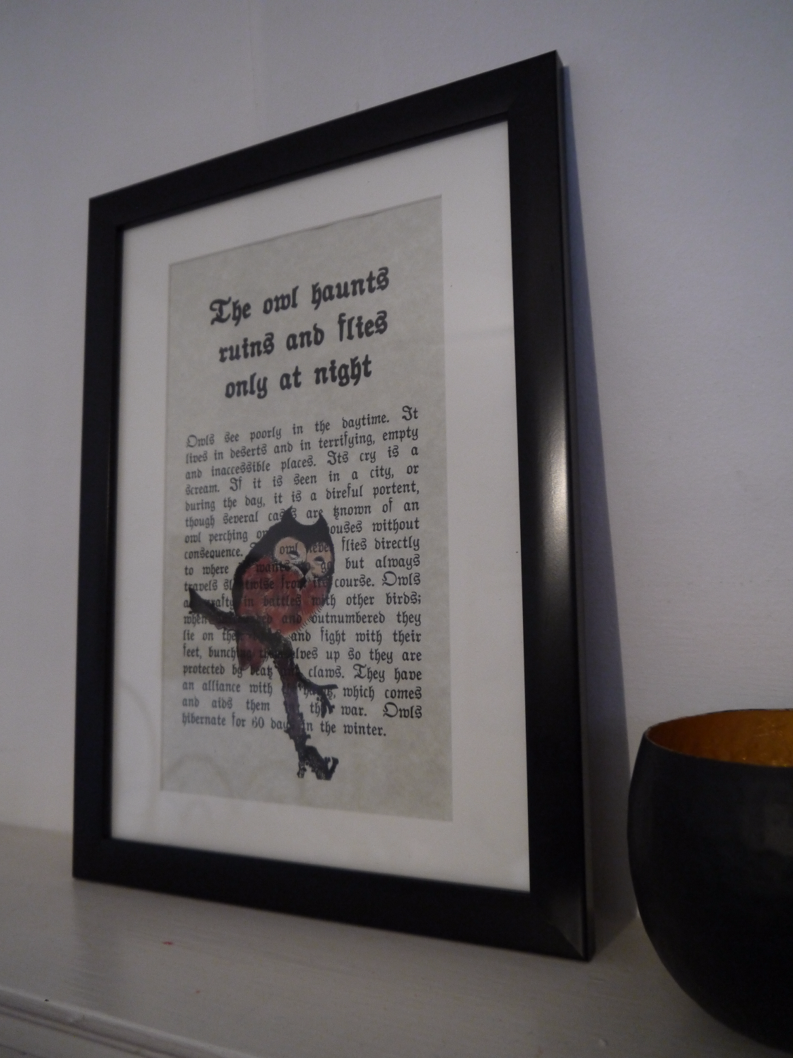 Night Owl framed print