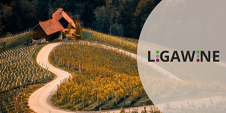 LIGAWINE Open Call 2026: Funding Opportunities for Sustainable Innovation in the Wine Sector