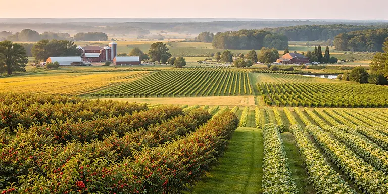USDA Invests $86.6 Million in Specialty Crops: Strengthening Innovation, Research and Market Competitiveness