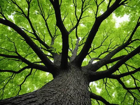 What Are the Best Eco-Friendly Tree Preservation Techniques?
