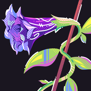 Flower - Angel's Trumpet