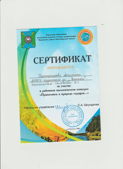 1.jpg