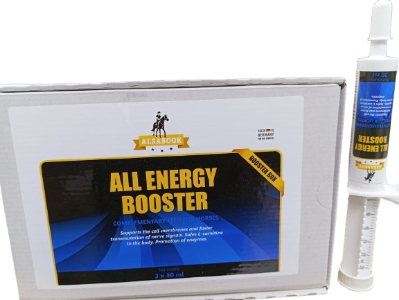 All_Energy_Booster ( Per Piece )