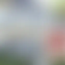 For Sale By Owner - A Good Idea?