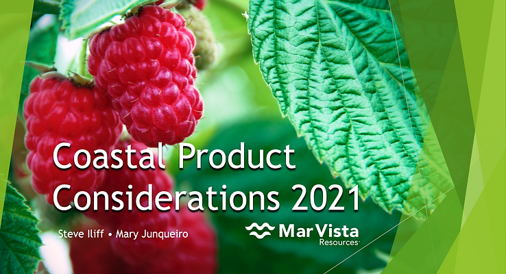 Screen Shot 2025-07-25 at 3.23.00 PM.png