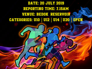 Cougars Cross Country 2019 Update