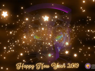 2018 was Fun and Successful for Cougars... Now to 2019!