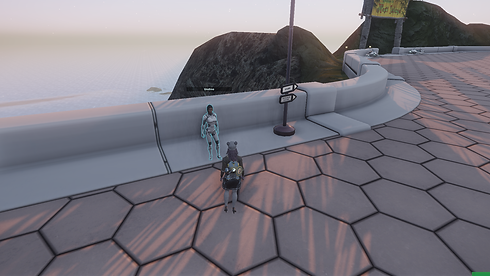 Entropia 2021-01-12 22.10.15.png