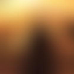 Tales observando la naturaleza en Egipto