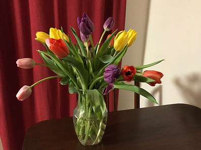 Tulips.jpeg