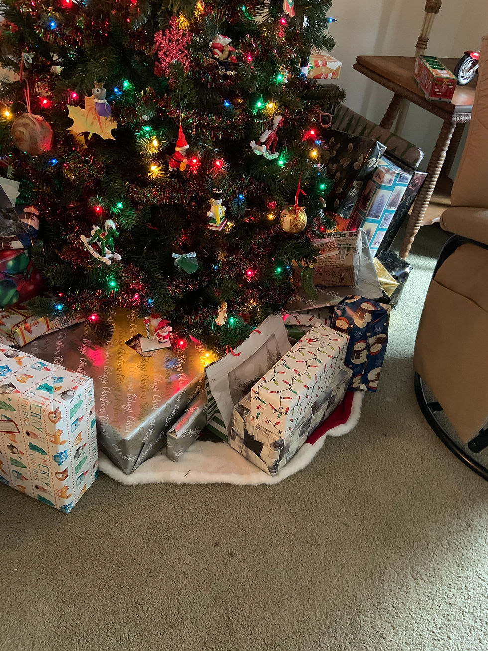 Veteran Family Christmas.jpeg