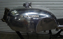armadillo (1).JPG