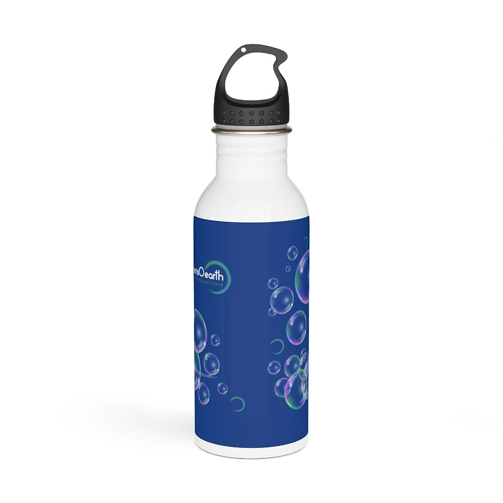 Thumbnail: Stainless Steel Water Bottle