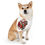 Thumbnail: Pet Bandana Collar