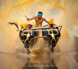 20250208_Indien_0016-Verbessert-RR-Bearbeitet