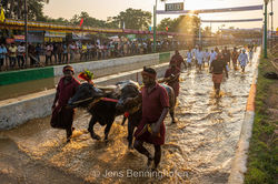 20250208_Indien_0025