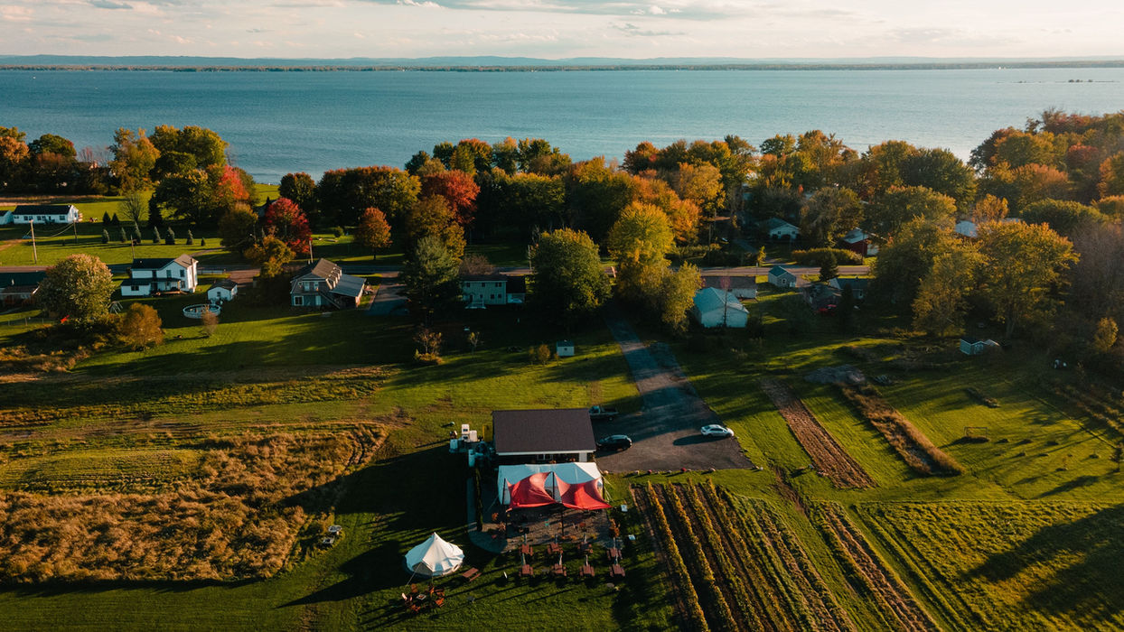 Aerial shot of vineyard