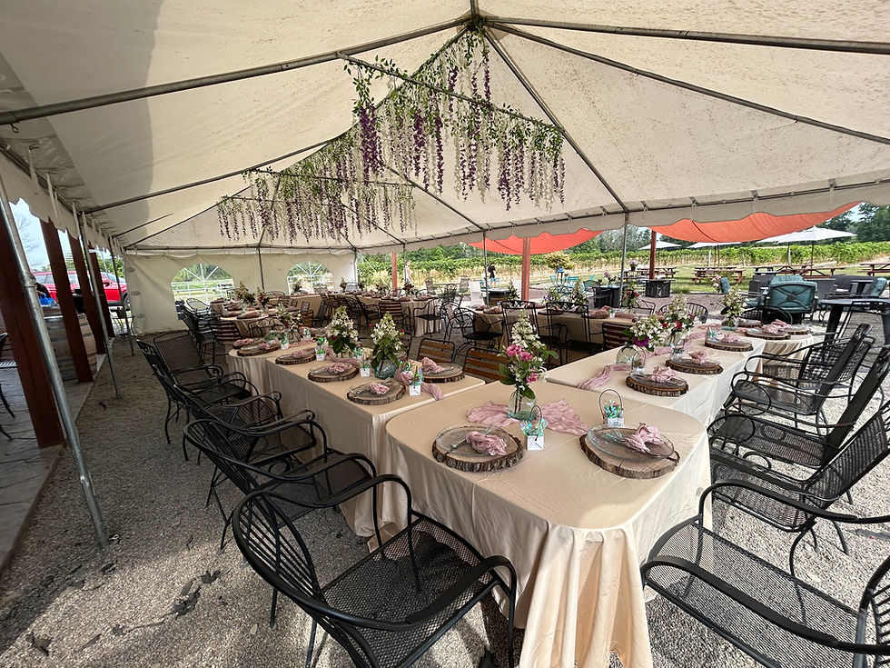 Party Setup Example