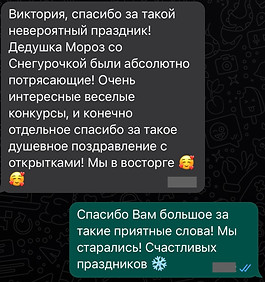 Отзывы о празднике, Новый Год, Вена